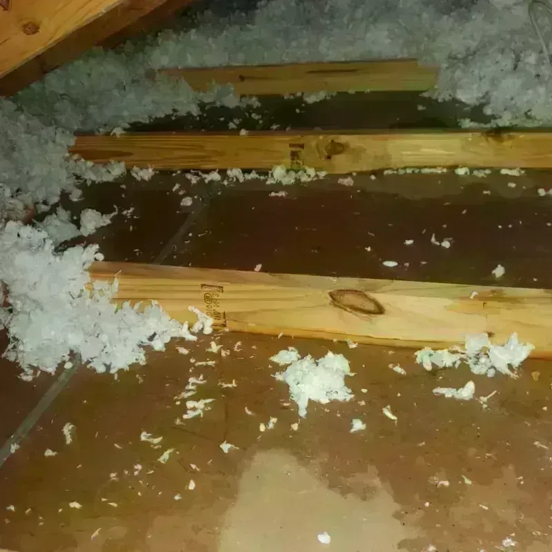 Attic Water Damage in Eau Claire County, WI