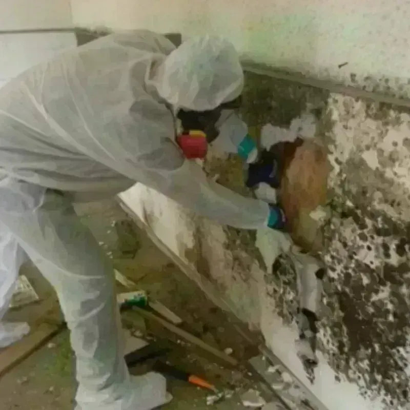 Best Mold Remediation and Removal Service in Eau Claire County, WI