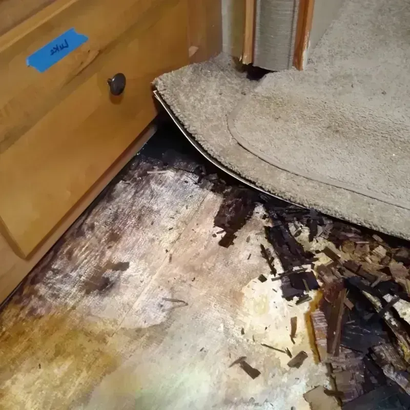 Wood Floor Water Damage in Eau Claire County, WI